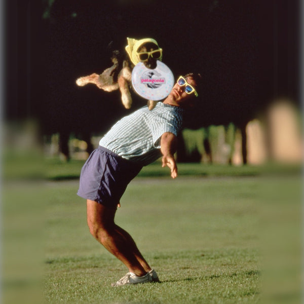 Playing with a Patagonia frisbee but your dog is owning it.